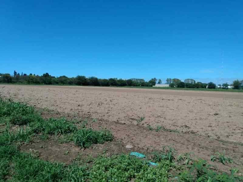 Campos en Córdoba / Cordoba / Argentina - foto 5