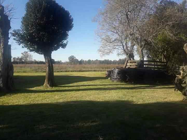 Campos en Mercedes / Buenos Aires / Argentina - foto 3