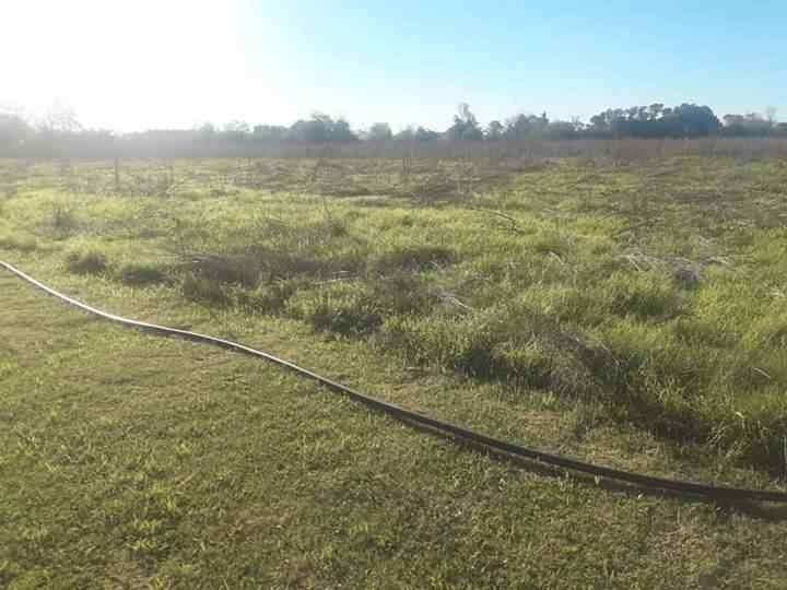 Campos en Mercedes / Buenos Aires / Argentina - foto 4